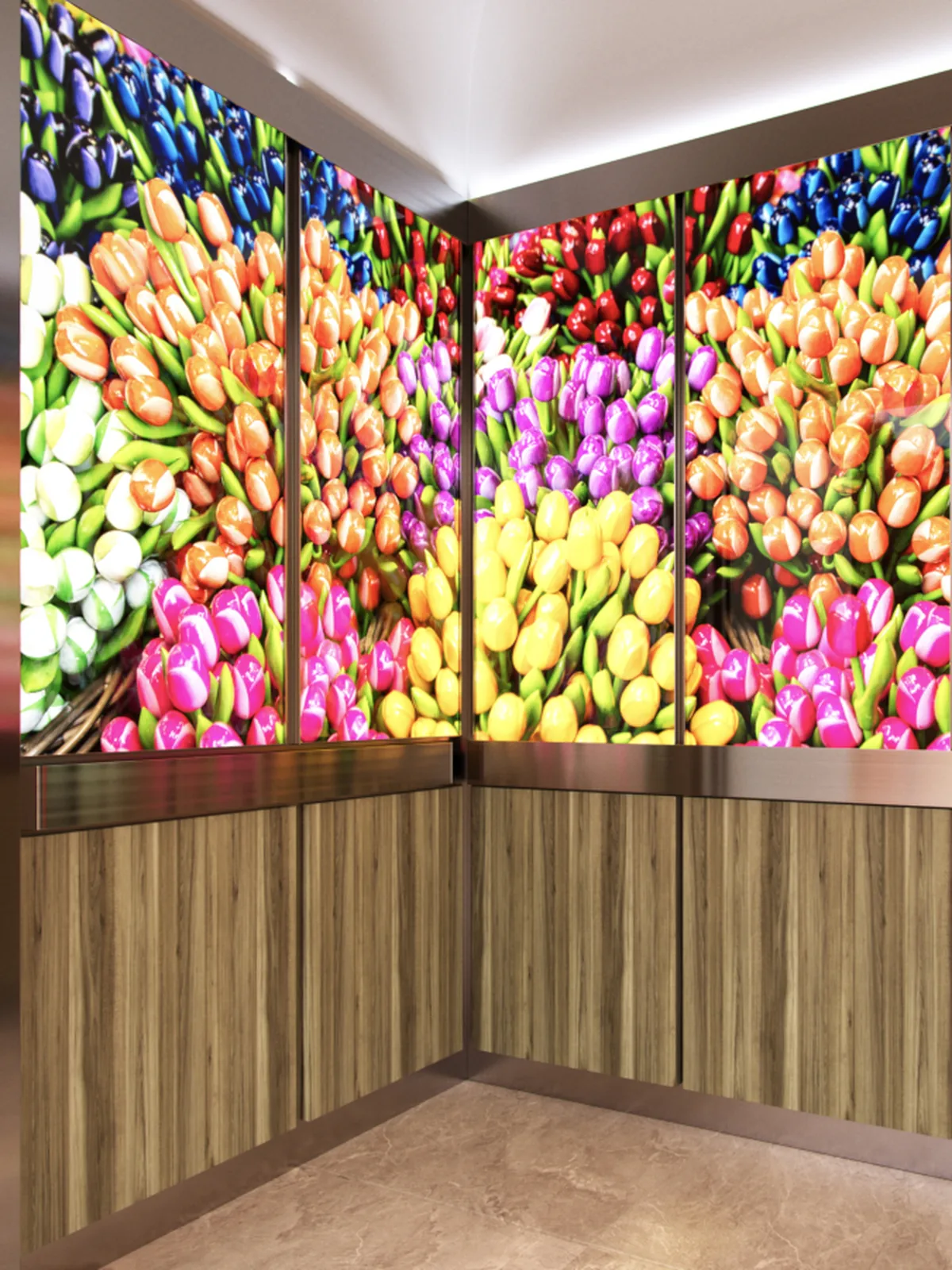 berlin-series-luxury-elevator-interior-tulips-image-backlit-glass-2