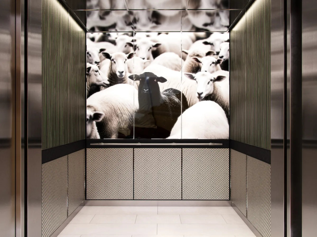 berlin-series-luxury-elevator-interior-backlit-glass-black-sheep-image-4-1-d-m