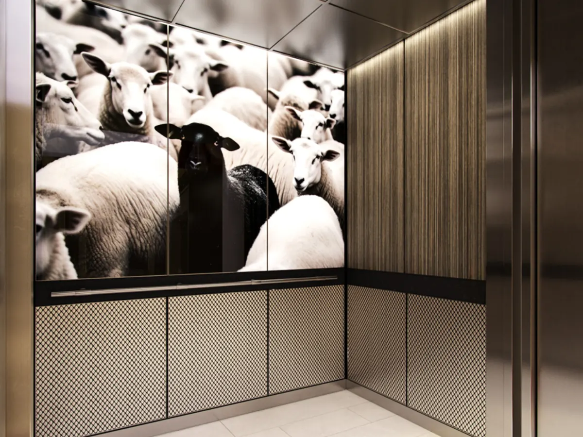 berlin-series-luxury-elevator-interior-backlit-glass-black-sheep-image-5-1-d-m