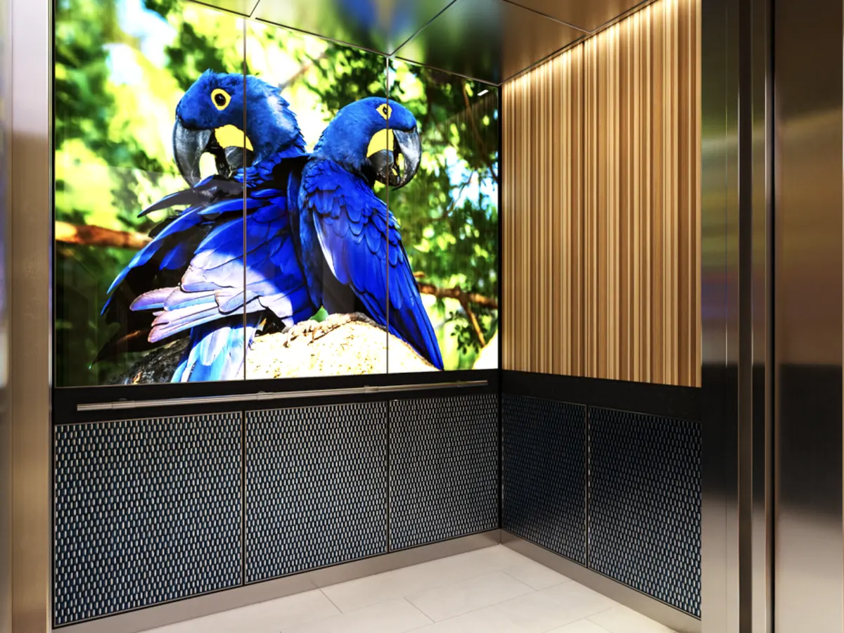 berlin-series-luxury-elevator-interior-backlit-glass-blue-birds-image-5-1-d-m