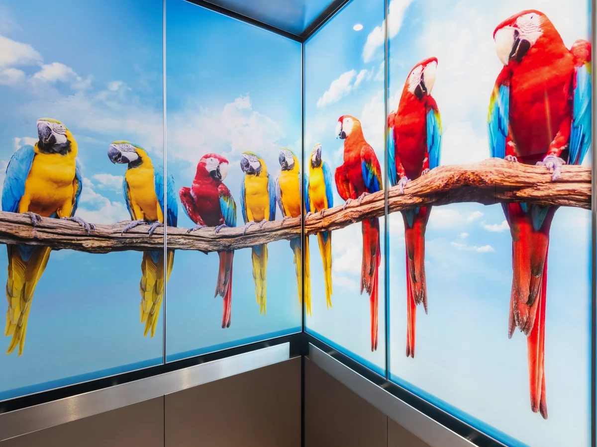berlin-series-luxury-elevator-interior-backlit-glass-macaws-image-4-1-d-m