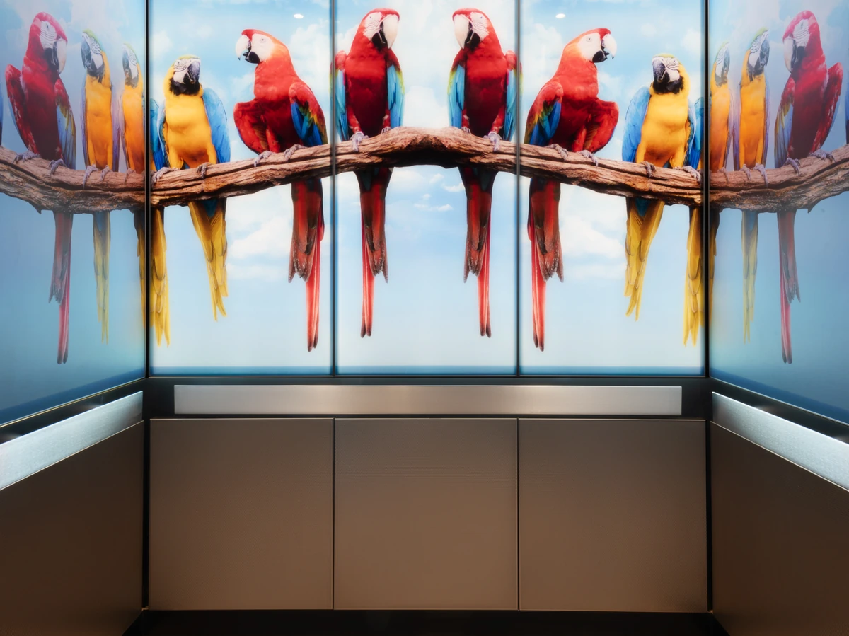 berlin-series-luxury-elevator-interior-backlit-glass-macaws-image-5-1-d-m