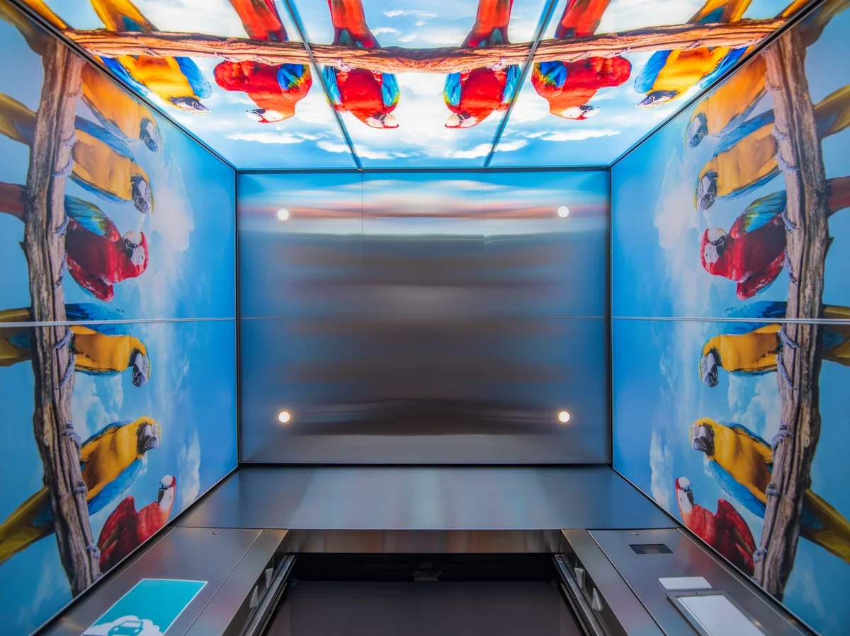berlin-series-luxury-elevator-interior-backlit-glass-macaws-image-6-1-d-m