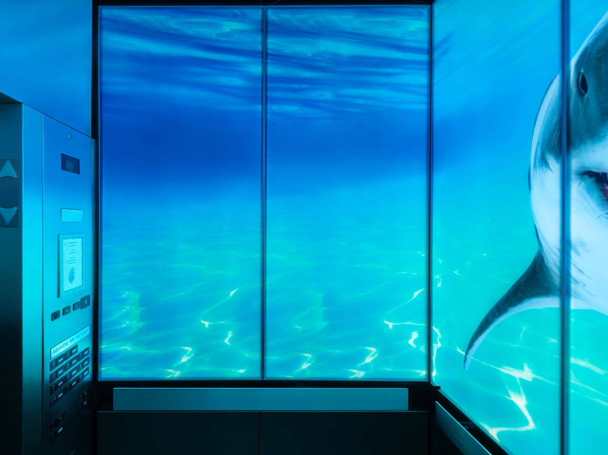 berlin-series-luxury-elevator-interior-backlit-glass-sharks-image-12-1-d-m