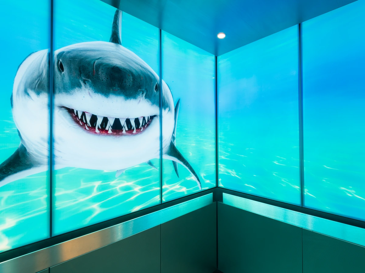 berlin-series-luxury-elevator-interior-backlit-glass-sharks-image-2-2-d-m