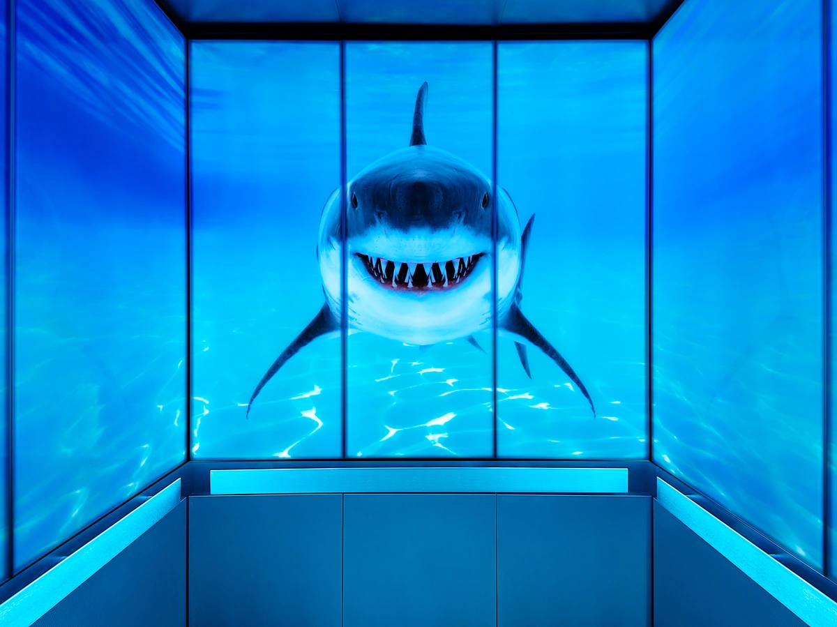 berlin-series-luxury-elevator-interior-backlit-glass-sharks-image-5-1-d-m