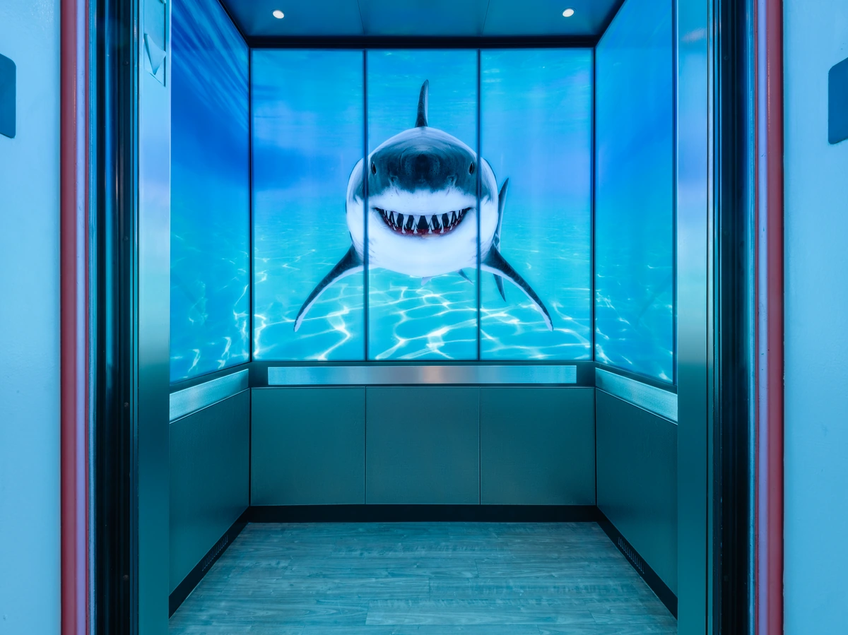 berlin-series-luxury-elevator-interior-backlit-glass-sharks-image-6-1-d-m