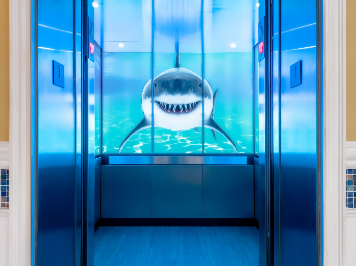berlin-series-luxury-elevator-interior-backlit-glass-sharks-image-8-1-d-m
