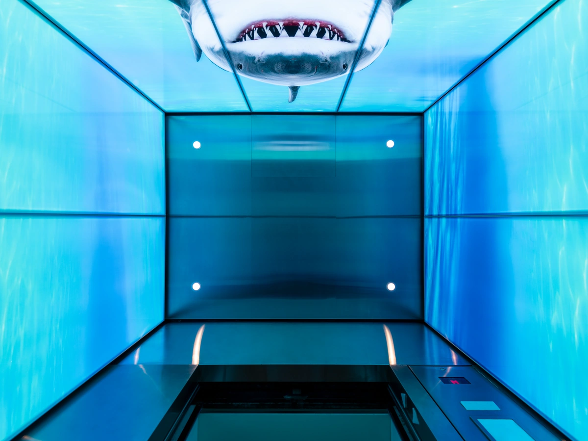 berlin-series-luxury-elevator-interior-backlit-glass-sharks-image-9-1-d-m