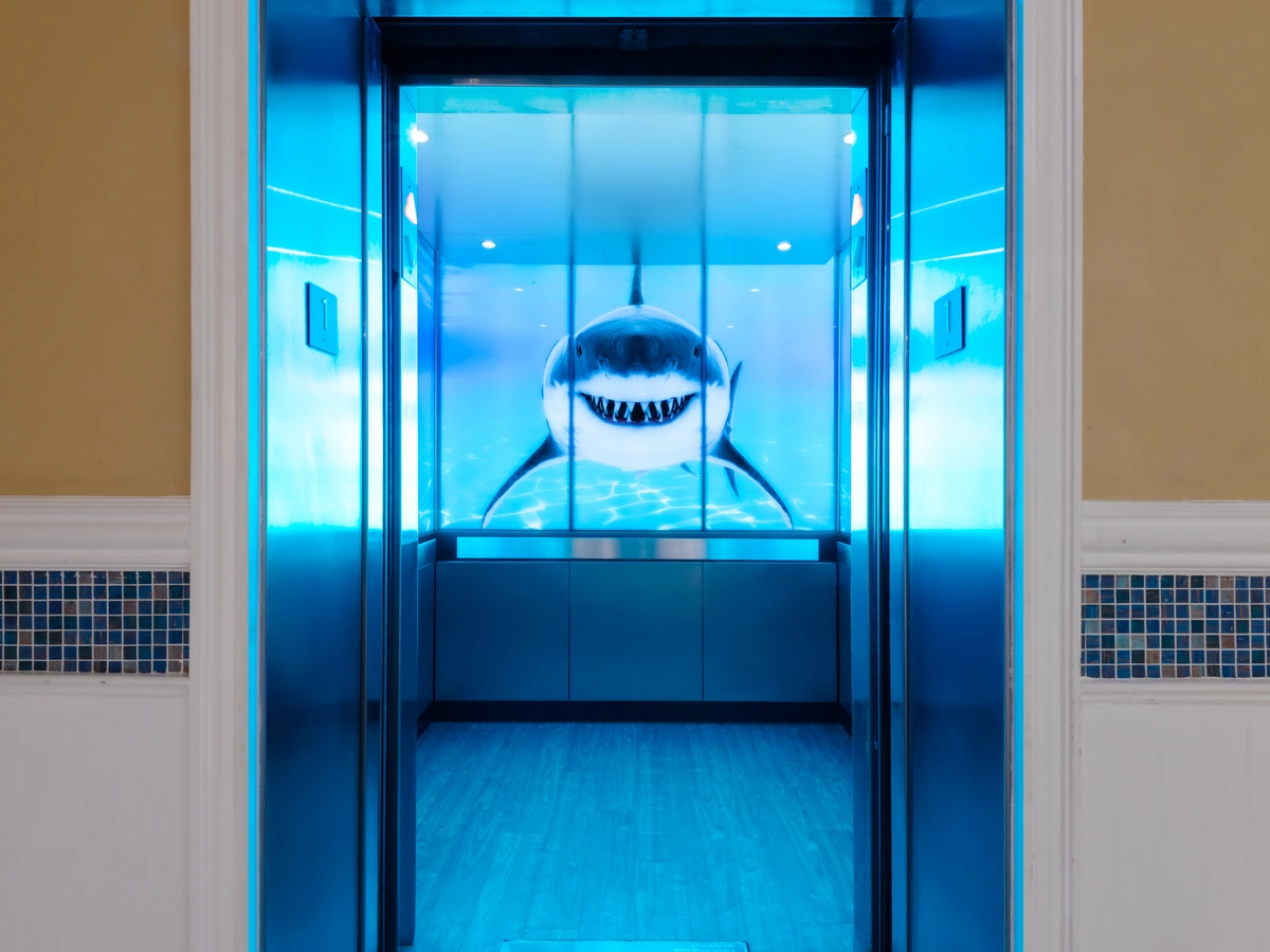 berlin-series-luxury-elevator-interior-backlit-glass-sharks-images-11-1-d-m