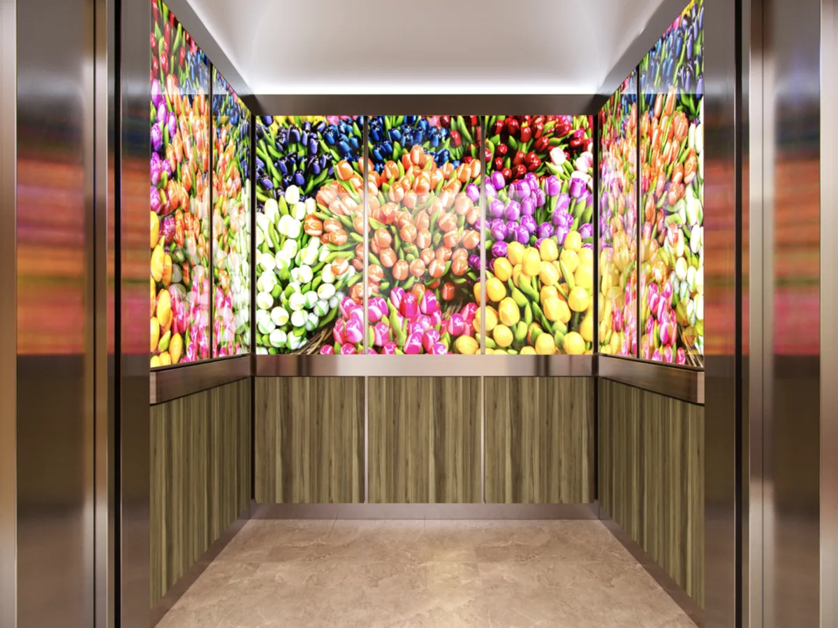 berlin-series-luxury-elevator-interior-tulips-image-backlit-glass-4-1-d-m