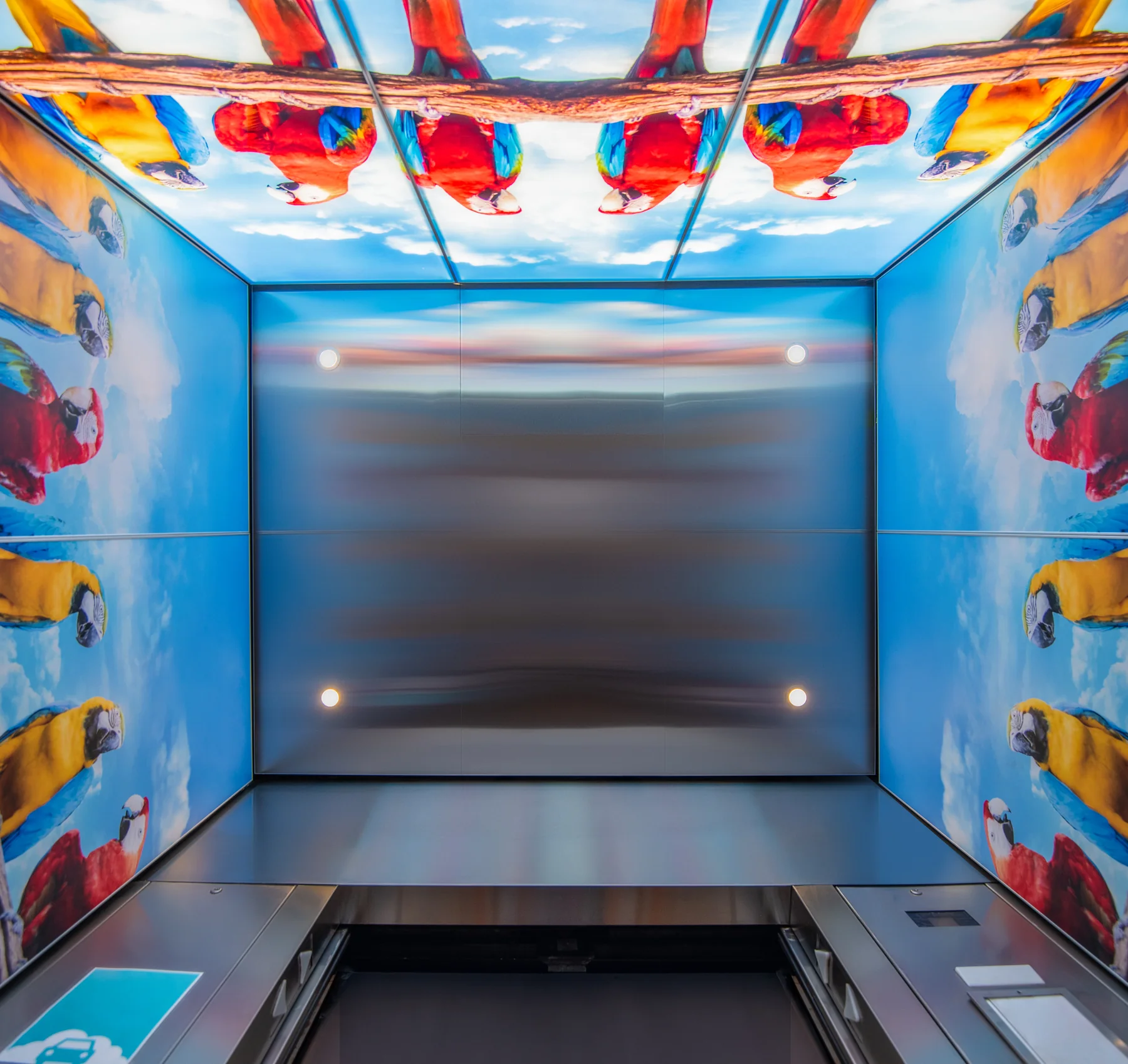 berlin-series-luxury-elevator-interior-backlit-glass-macaws-image-9