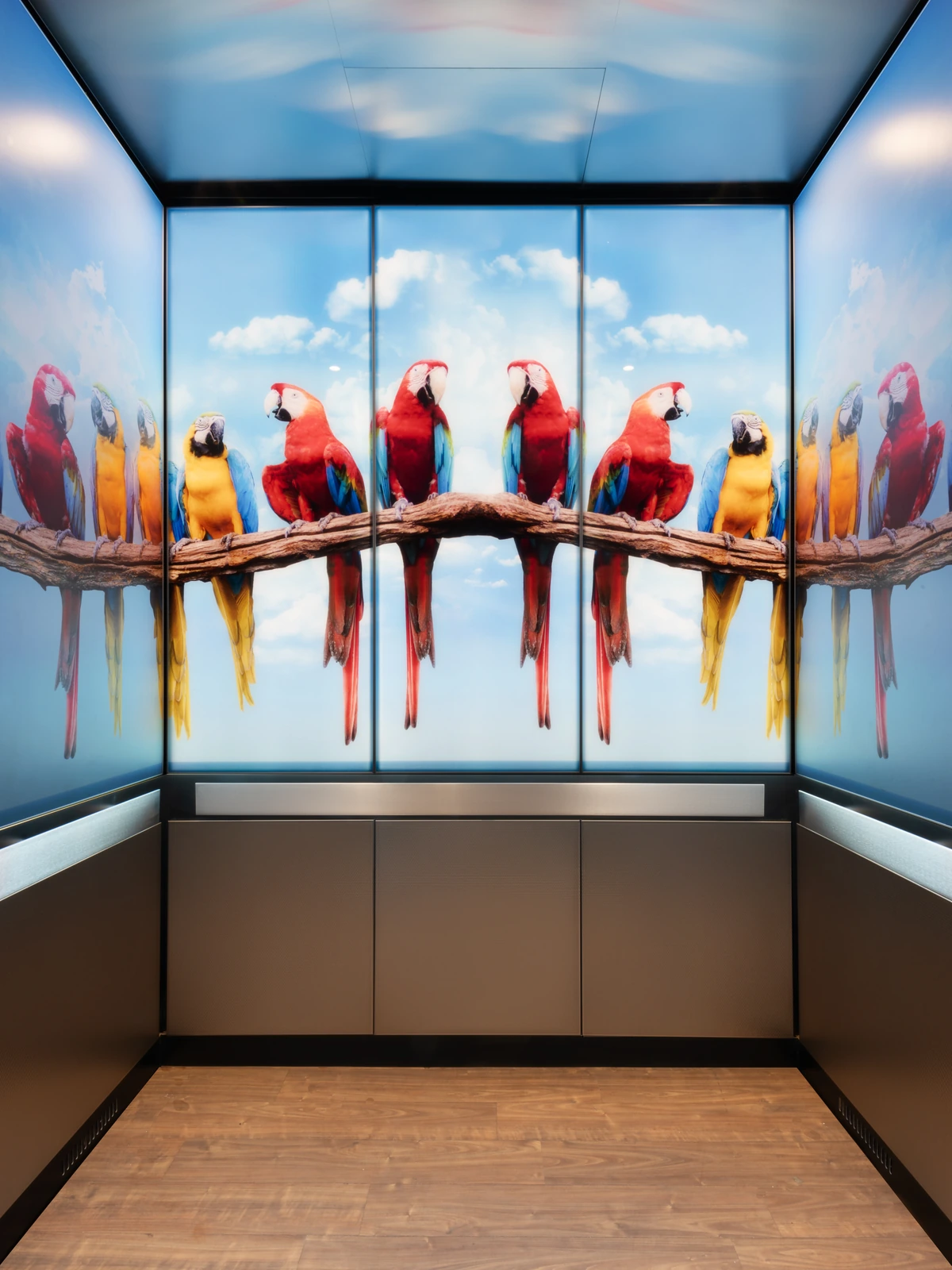 berlin-series-luxury-elevator-interior-backlit-glass-macaws-image-2