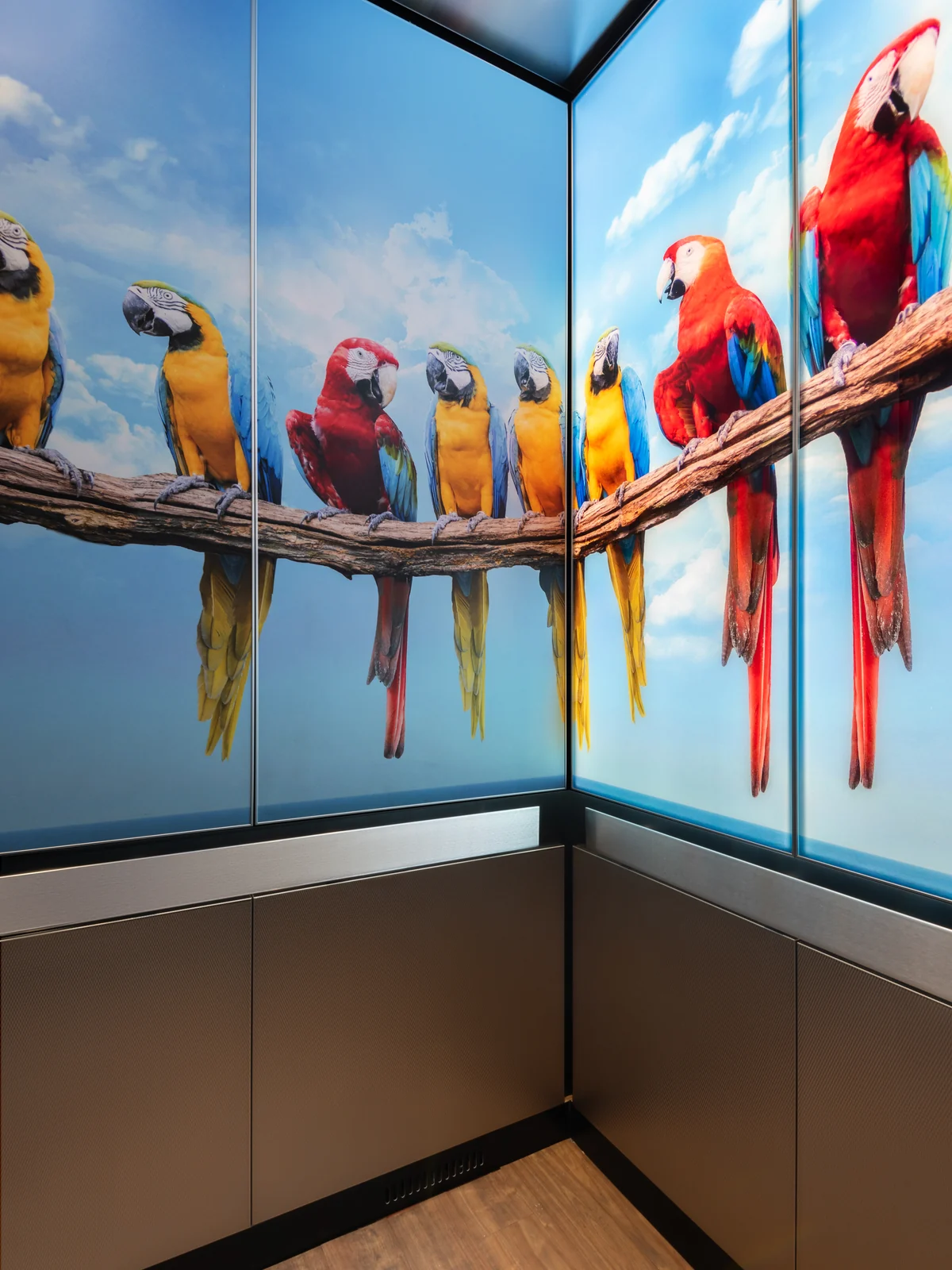 berlin-series-luxury-elevator-interior-backlit-glass-macaws-image-3