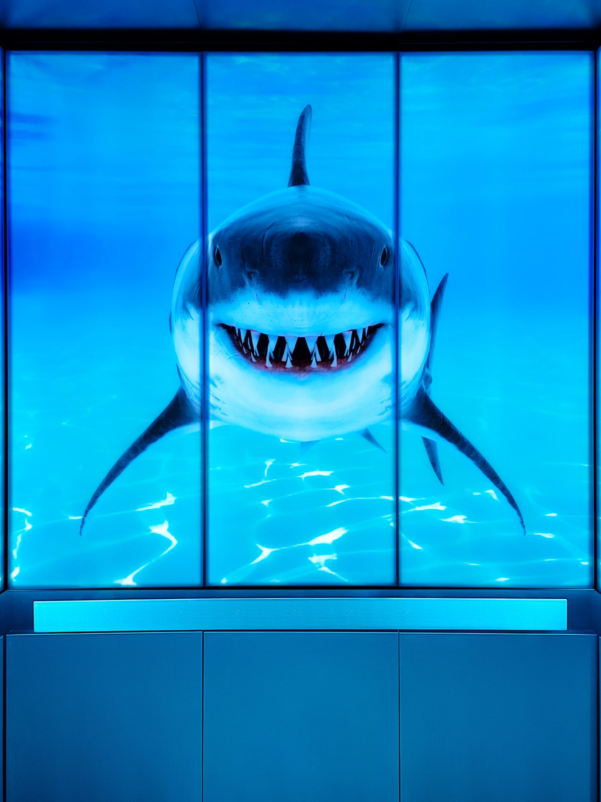 berlin-series-luxury-elevator-interior-backlit-glass-sharks-image-1-1