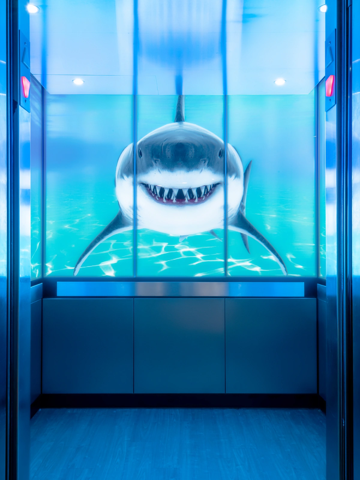 berlin-series-luxury-elevator-interior-backlit-glass-sharks-image-4