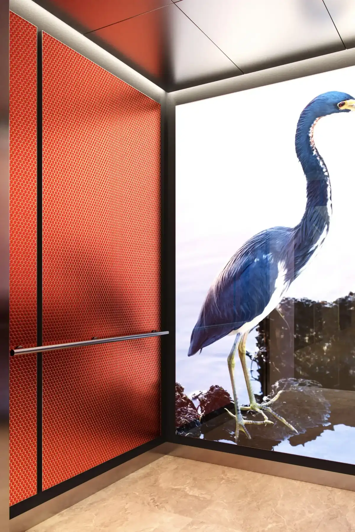 custom-graphic-elevator-interiors-soho-backlit-heron-d-m.