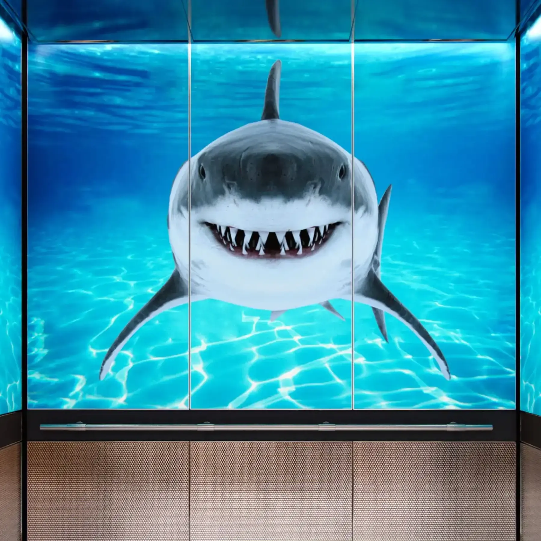 backlit-elevator-interior-tampa-glass-sharks-1