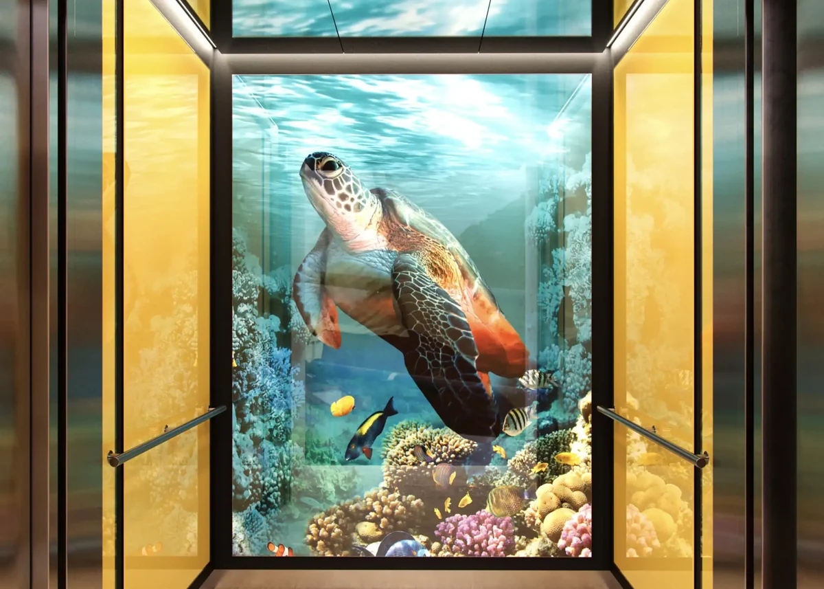 http://custom-graphic-elevator-interiors-soho-backlit-turtle-glass-d-m