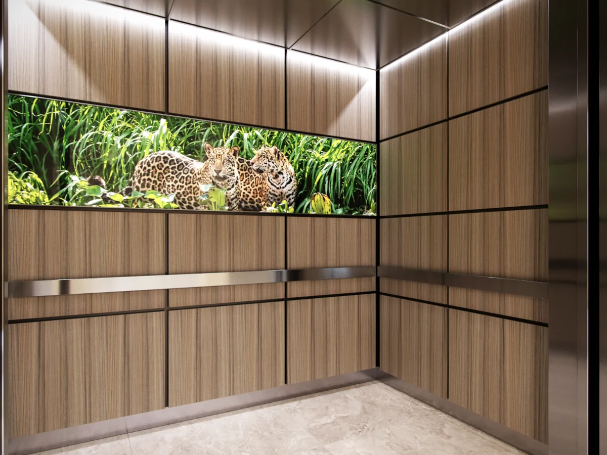portland-series-elevator-interior-wood-veneer-laminate-leopard-image-glass-4-d-m