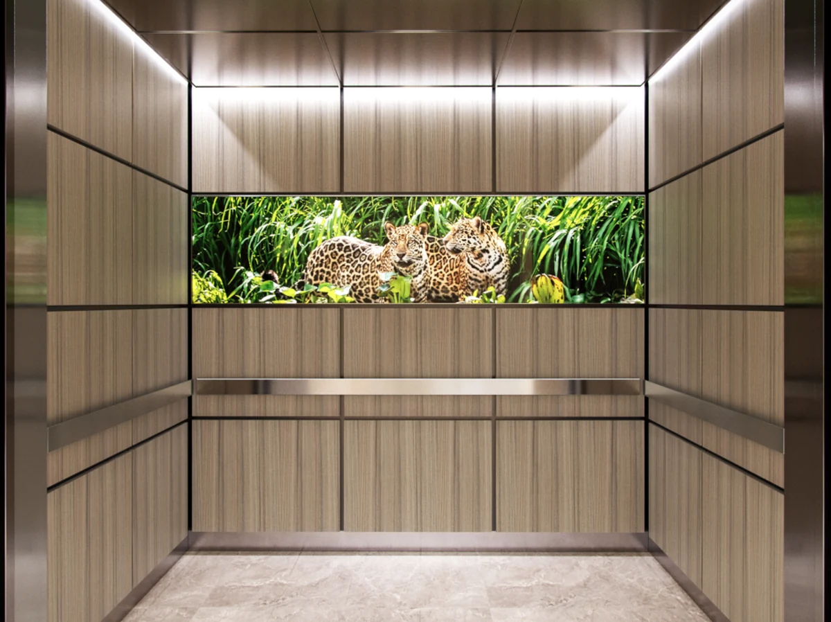 portland-series-elevator-interior-wood-veneer-laminate-leopard-image-glass-5-d-m.