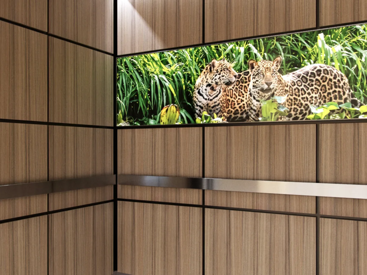 portland-series-elevator-interior-wood-veneer-laminate-leopard-image-glass-5-d-m.