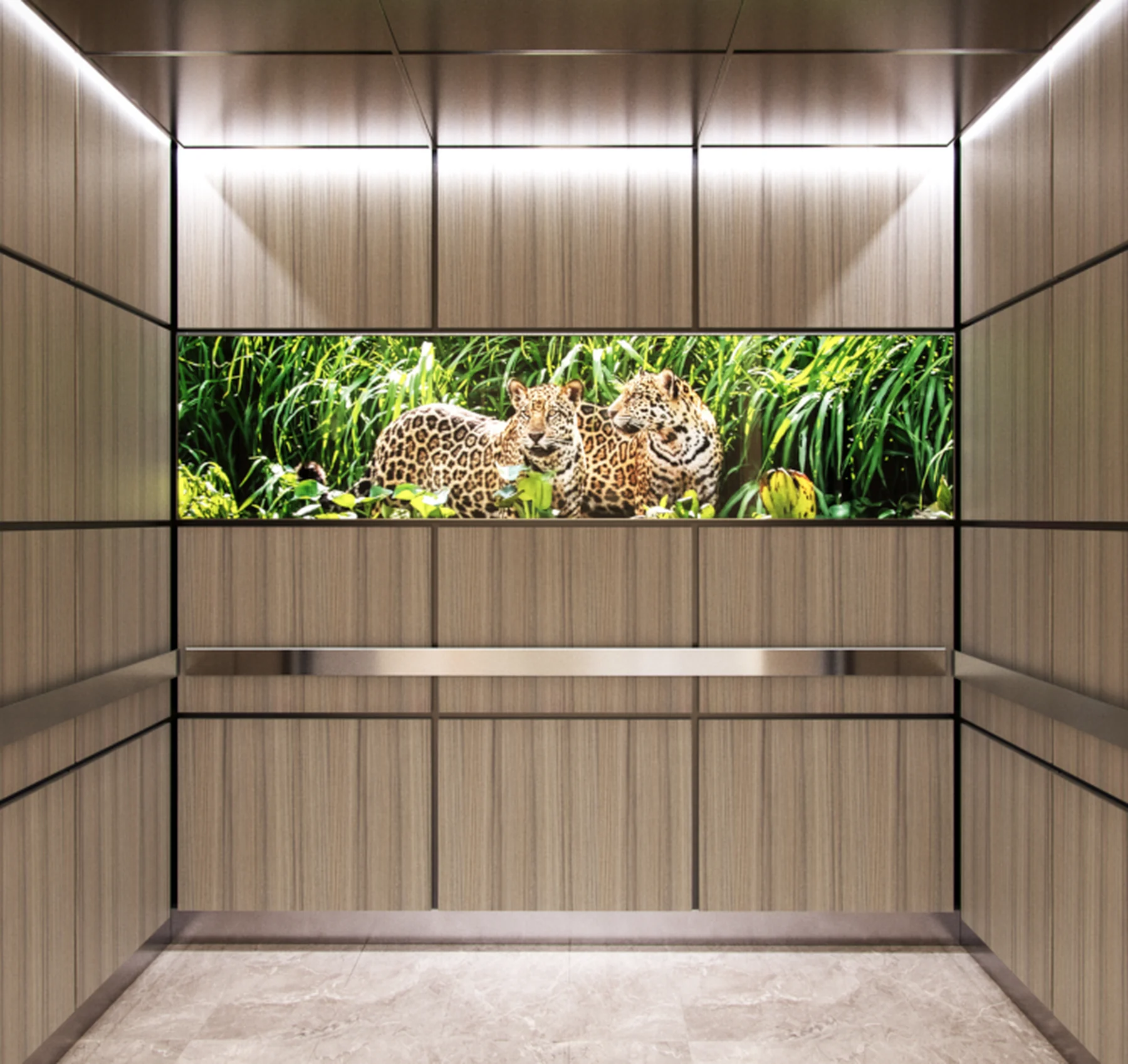 portland-series-elevator-interior-wood-veneer-laminate-leopard-image-glass-7