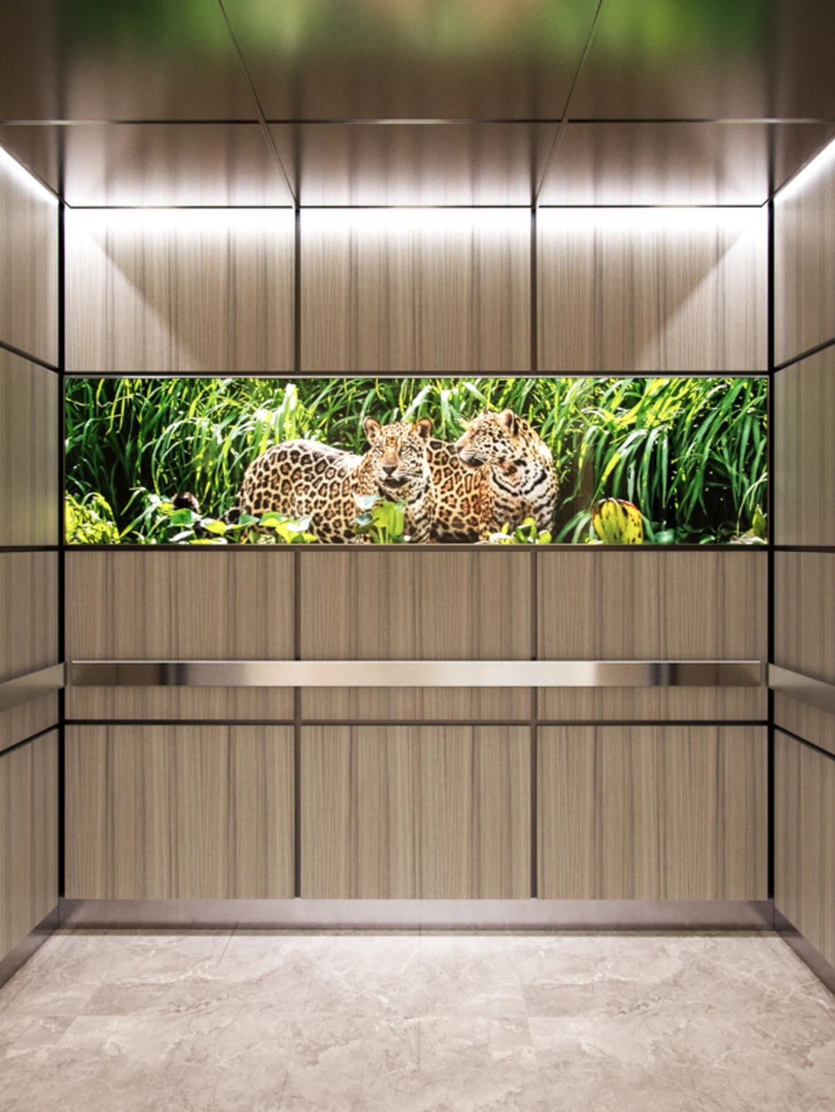 portland-series-elevator-interior-wood-veneer-laminate-leopard-image-glass-2