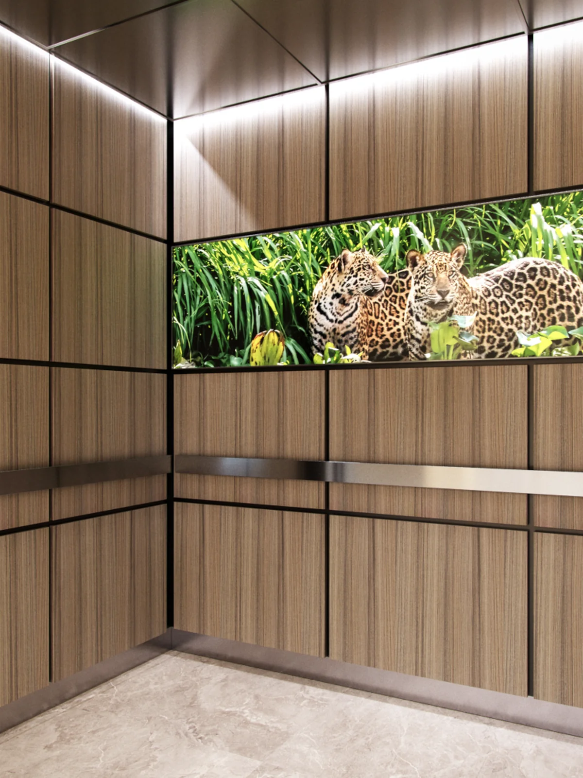 portland-series-elevator-interior-wood-veneer-laminate-leopard-image-glass-3