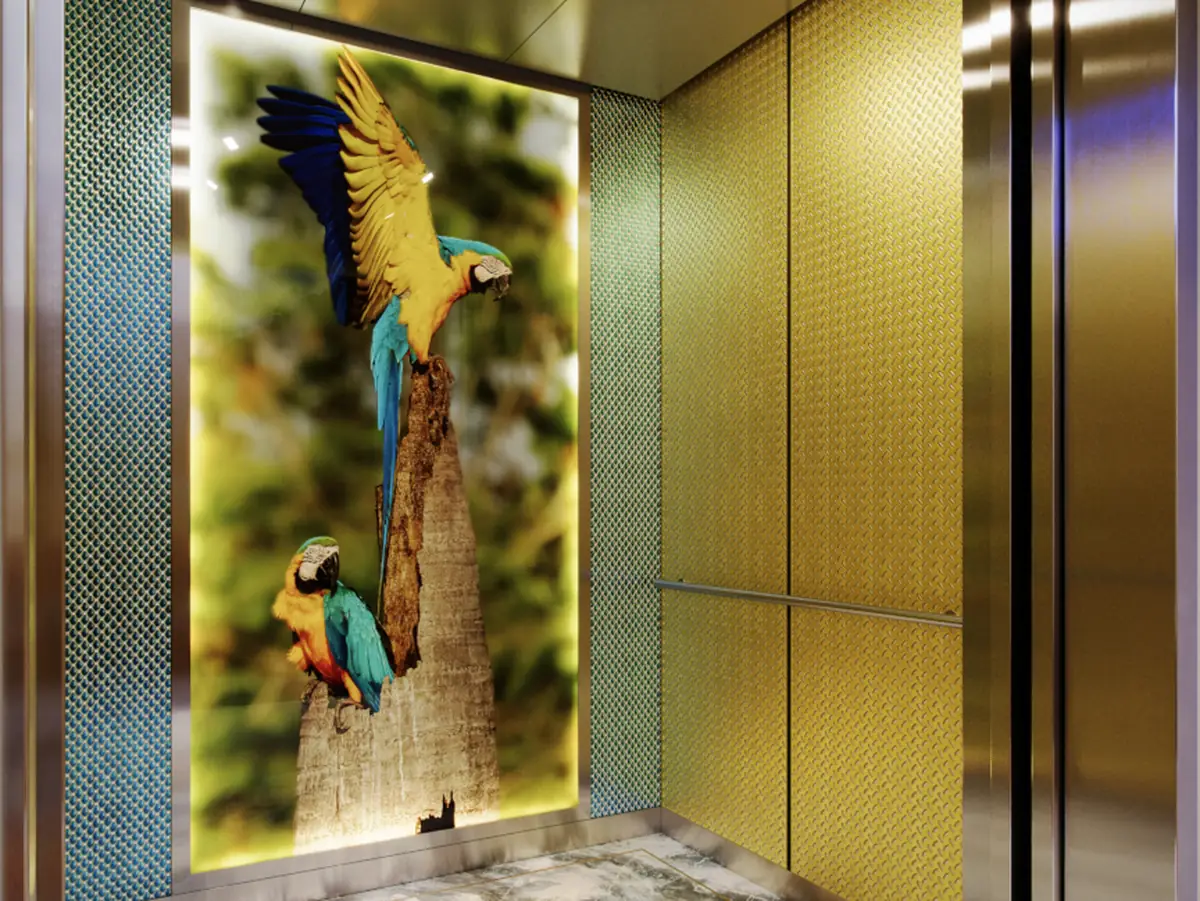 seattle-series-elevator-interior-backlit-glass-macaws-image-5-d-m