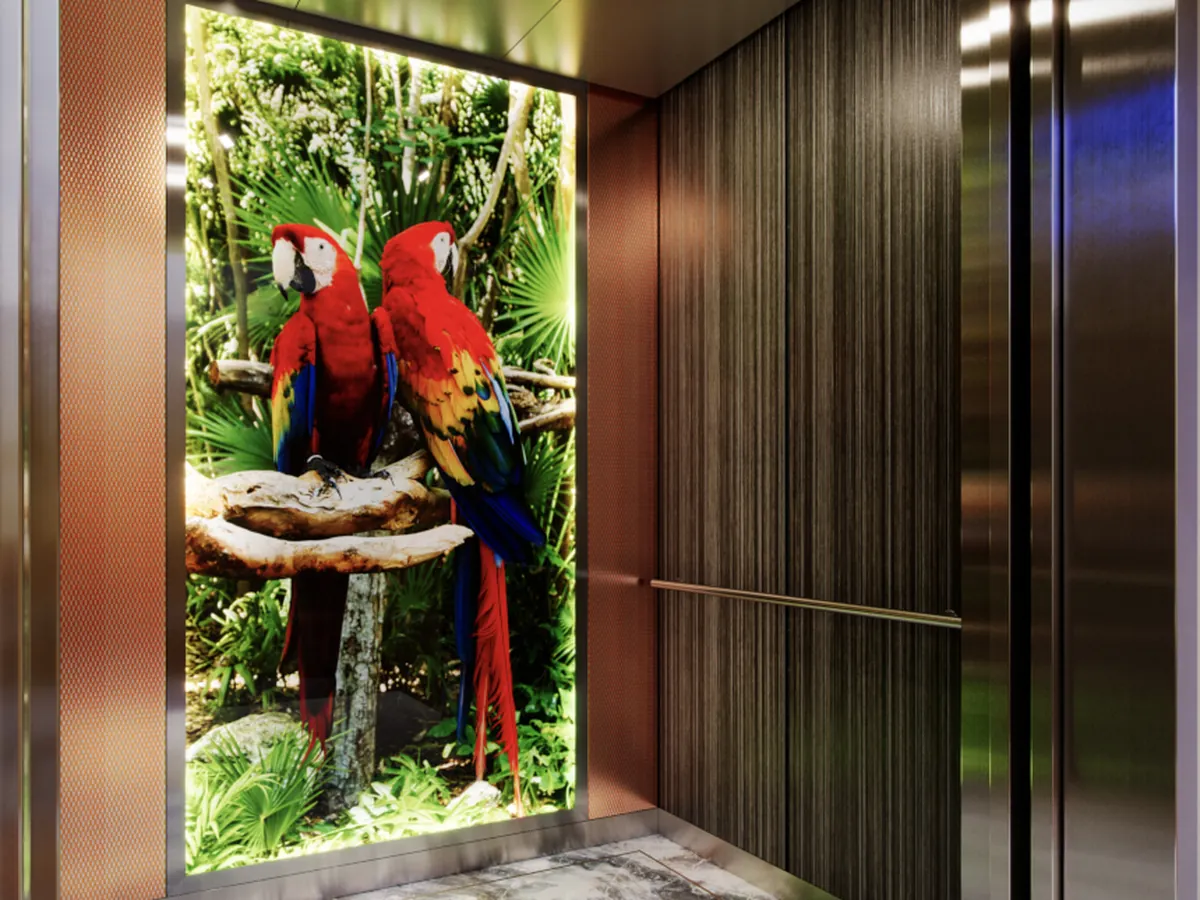 seattle-series-elevator-interior-backlit-glass-parrots-image-5-d-m
