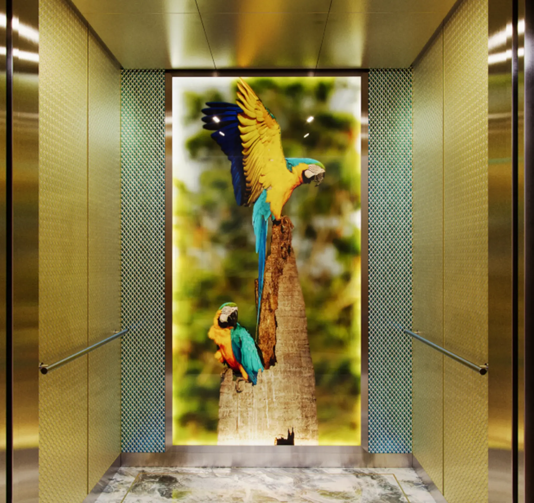 seattle-series-elevator-interior-backlit-glass-macaws-image-7