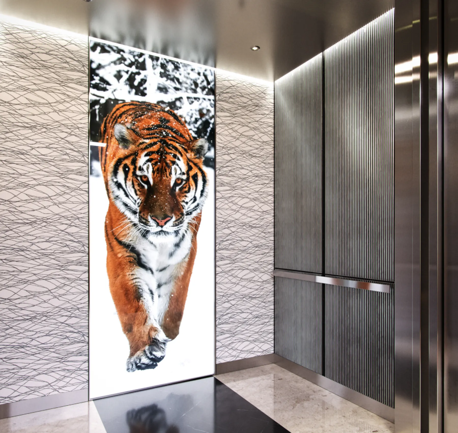 seattle-series-elevator-interior-backlit-glass-tiger-image-7