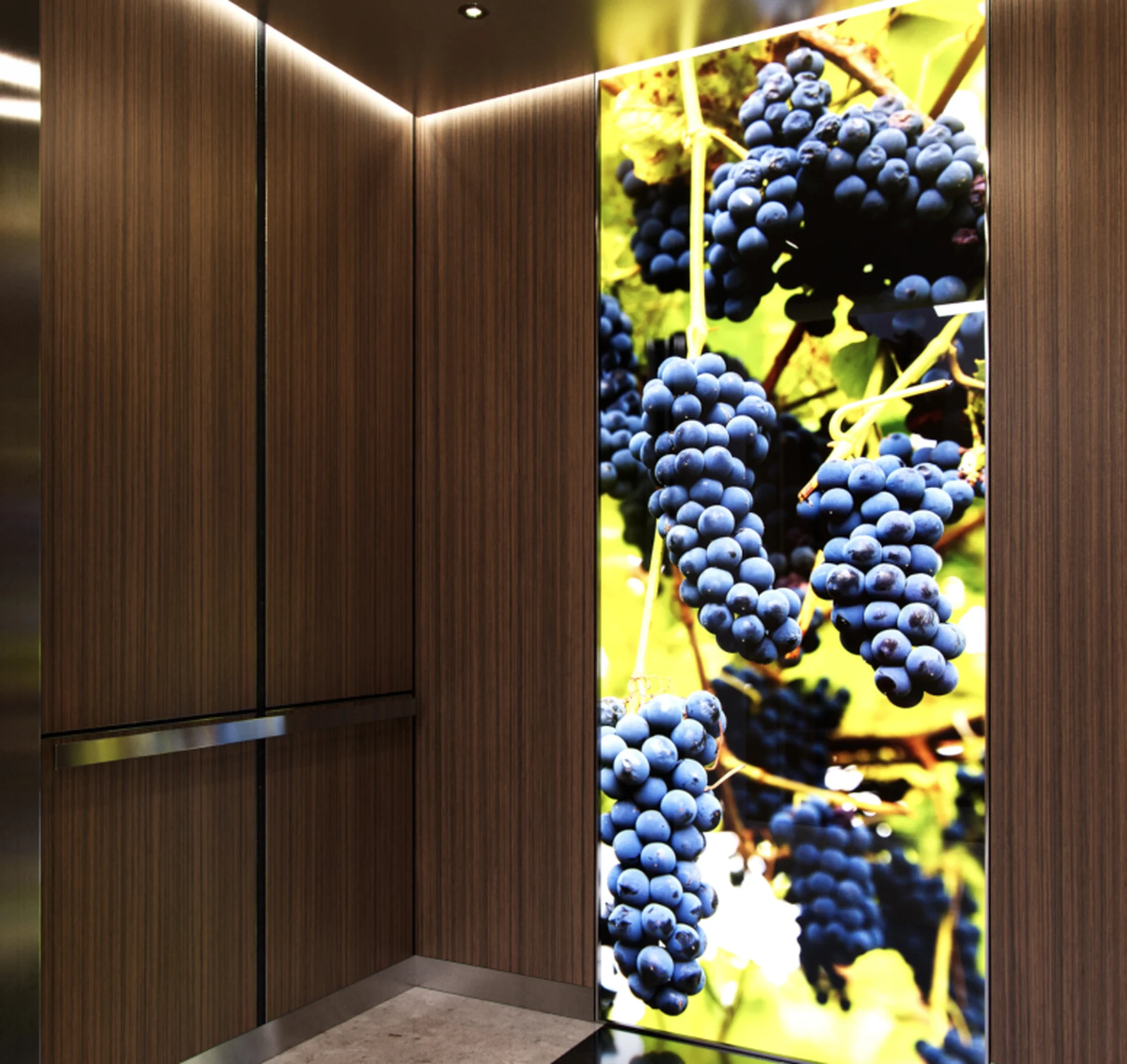 seattle-series-elevator-interior-backlit-glass-vineyard-image-7