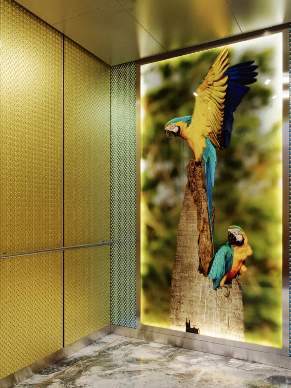 seattle-series-elevator-interior-backlit-glass-macaws-image-1