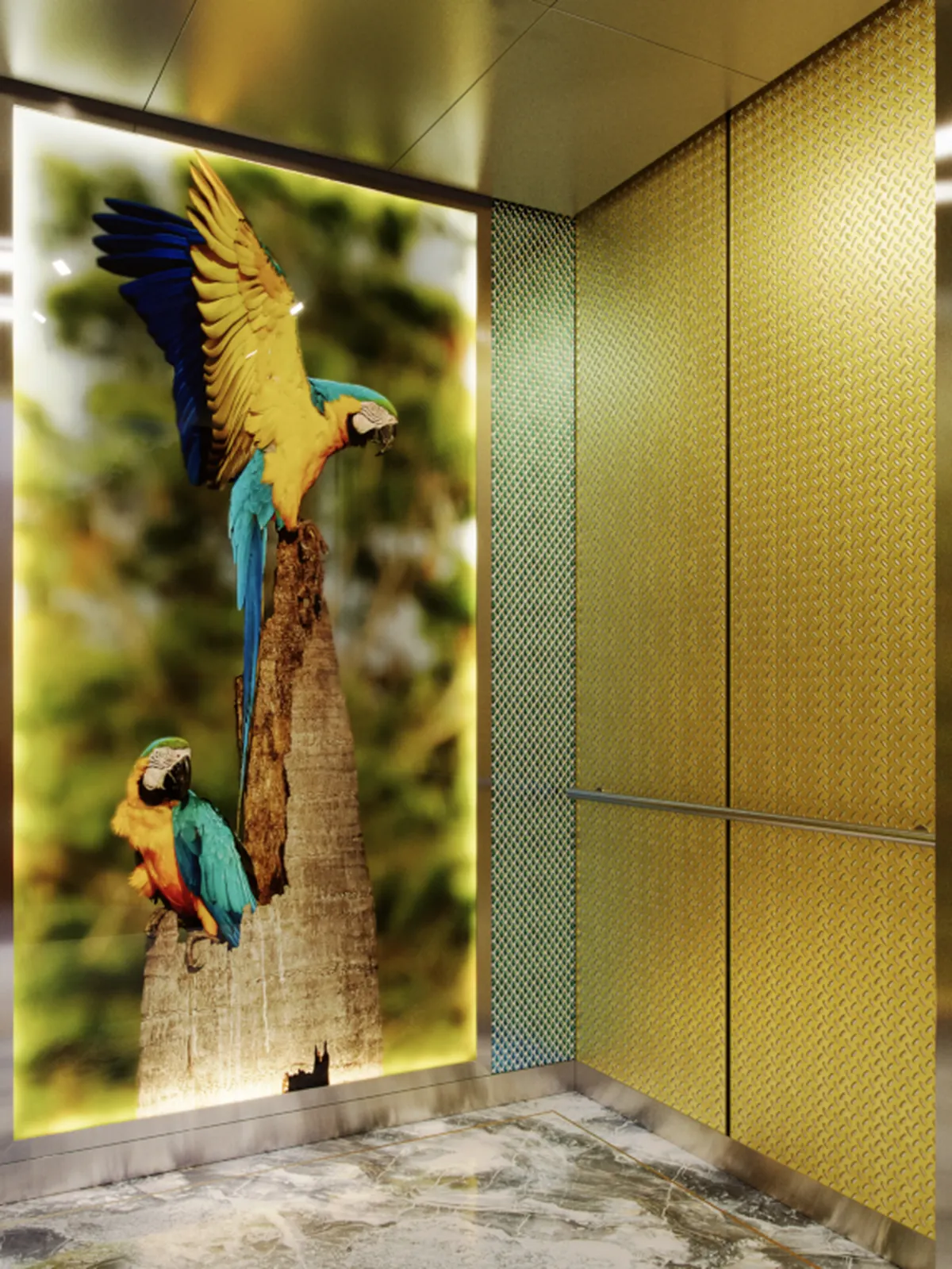 seattle-series-elevator-interior-backlit-glass-macaws-image-2