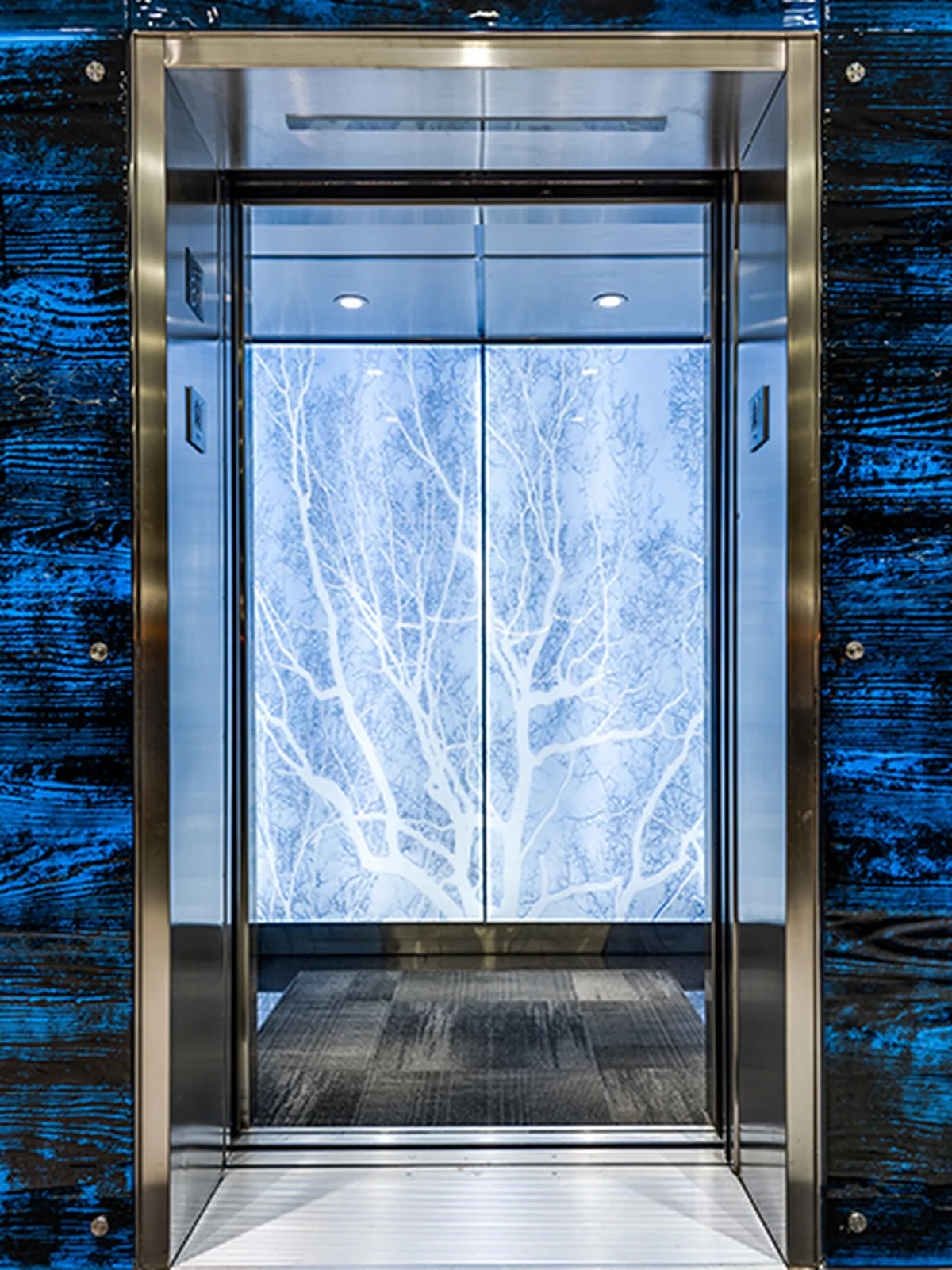 seattle-series-elevator-interior-backlit-glass-winter-tree-image-1