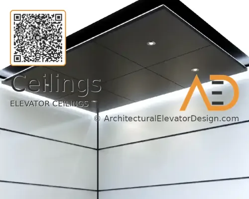 metal-elevator-ceiling-6-field-bronze-2-d-m
