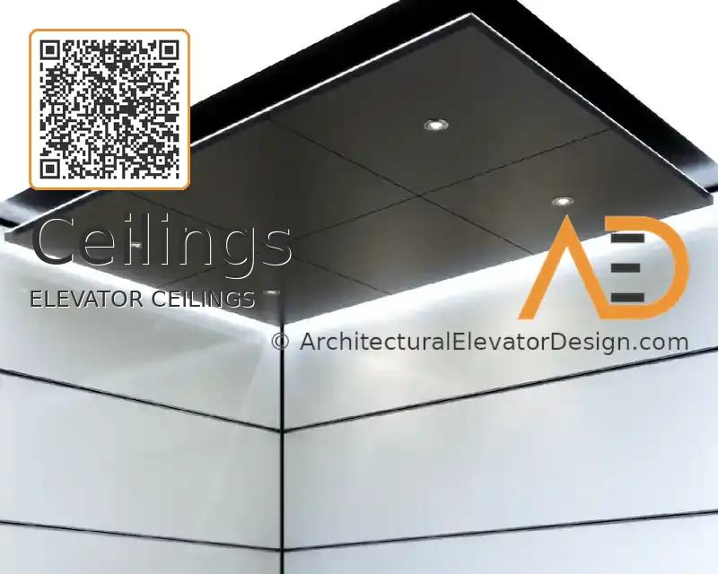 metal-elevator-ceiling-6-field-bronze-2-d-m