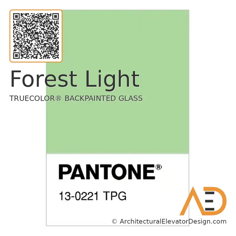 Forest Light