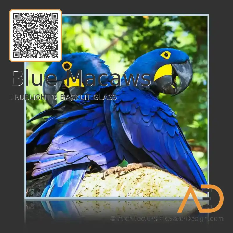 Blue Macaws