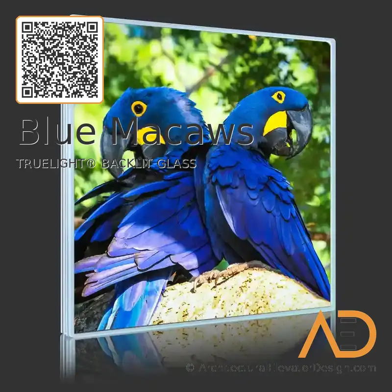 Blue Macaws