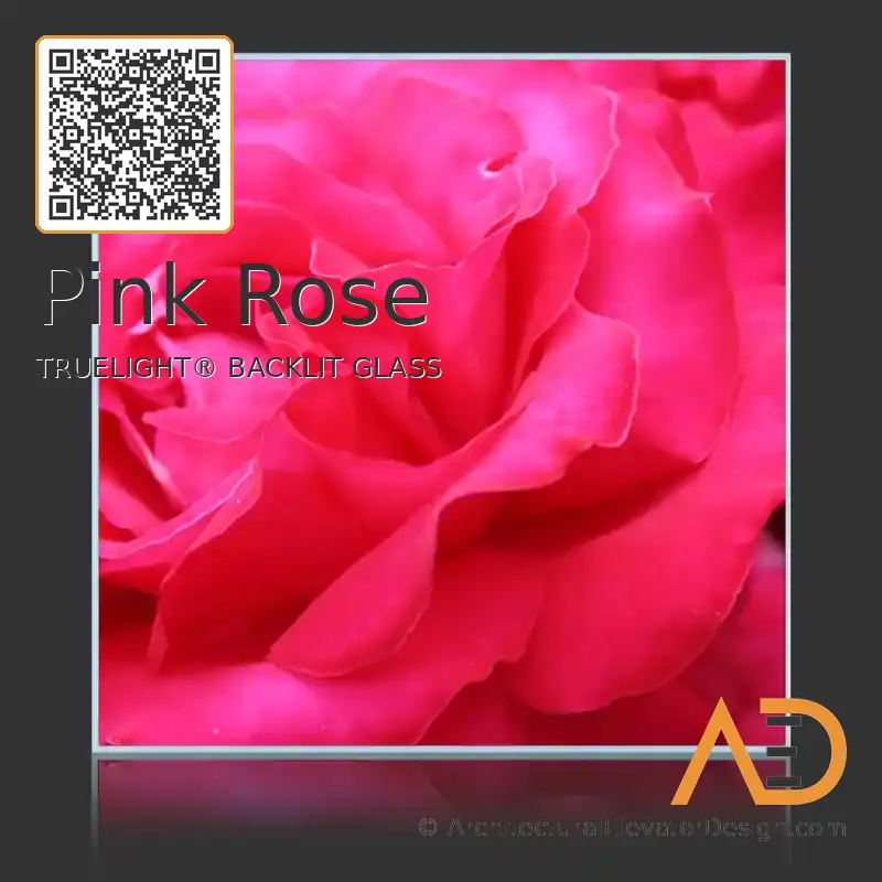 Pink Rose