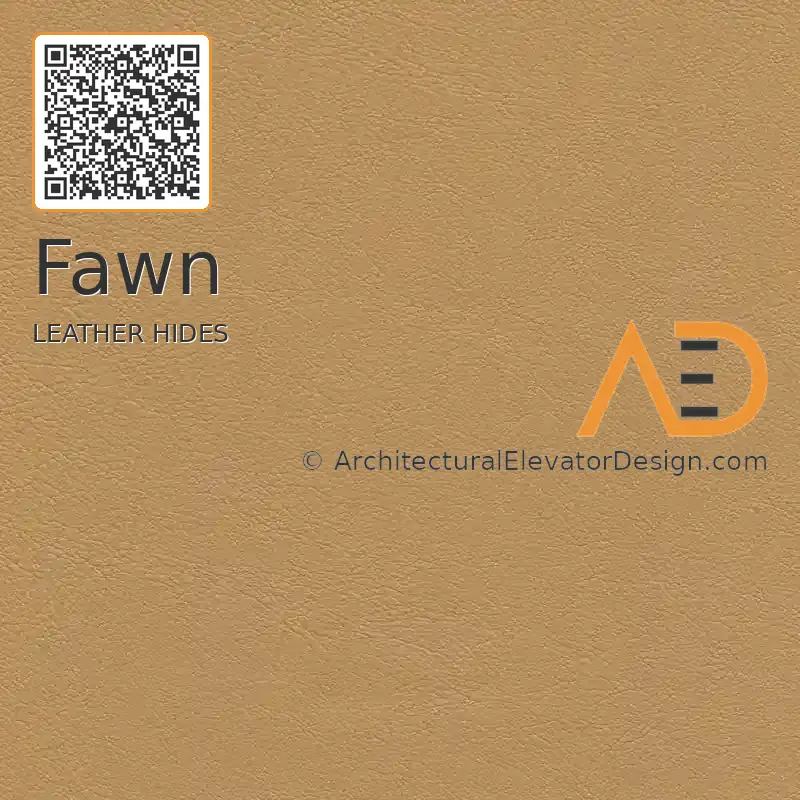 Fawn