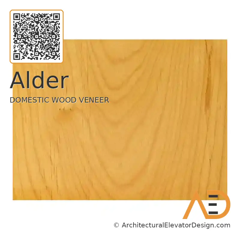 Alder