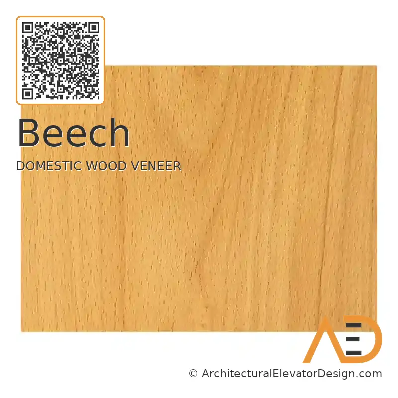 Beech