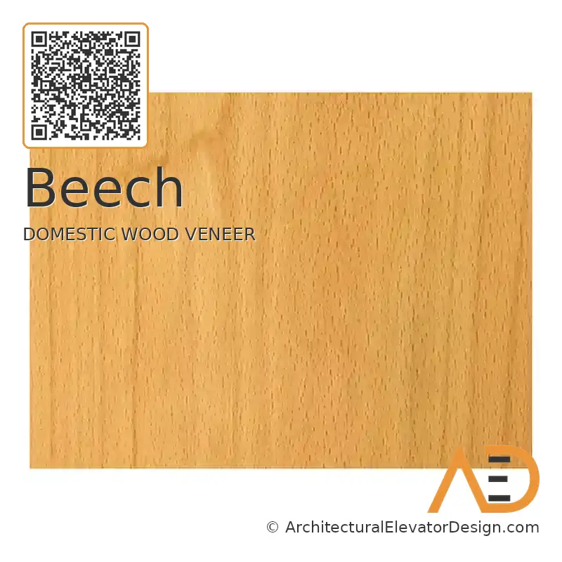 Beech