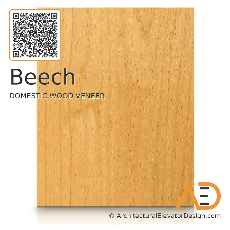Beech
