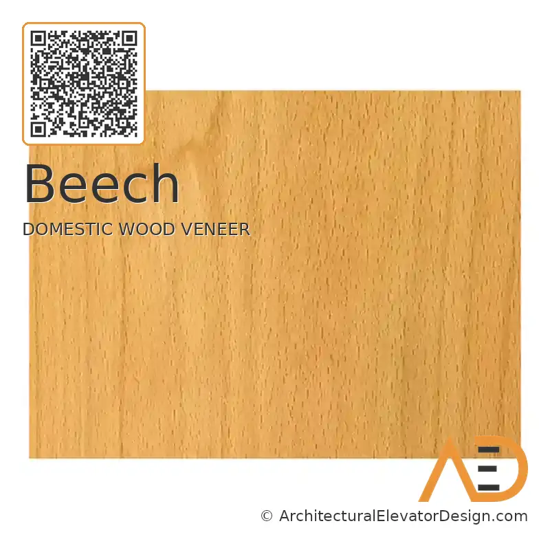 Beech