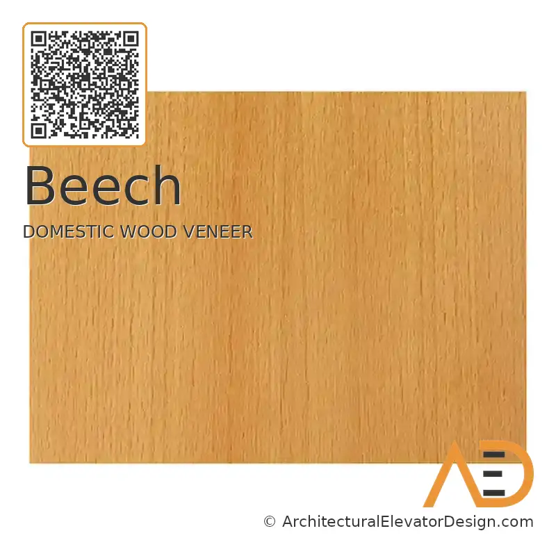 Beech